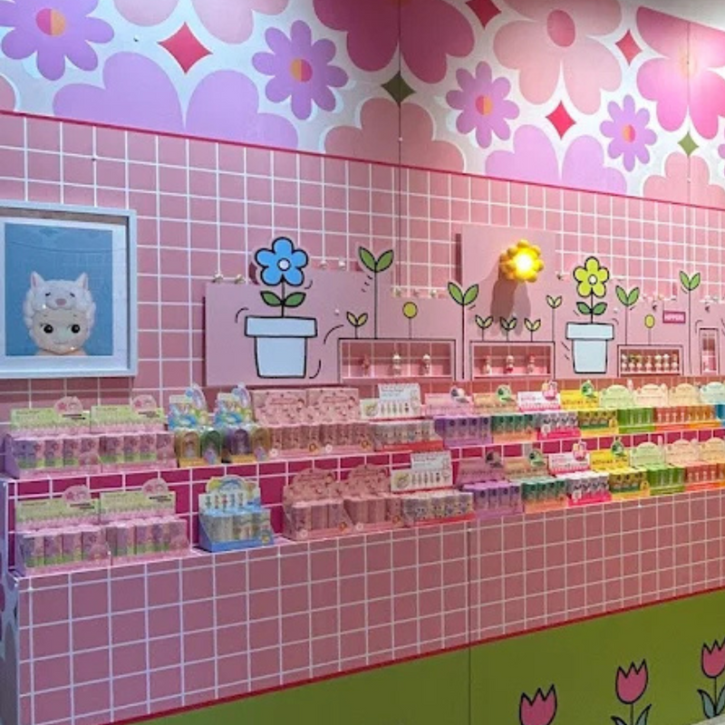 OUVERTURE  nouvelle BOUTIQUE LILLE